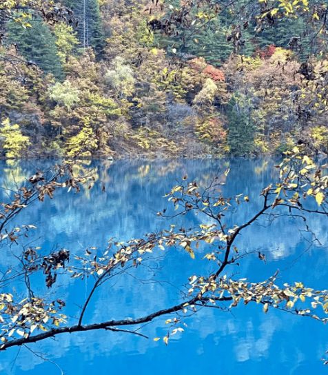 一家四口去四川玩六天怎么报团？四个人玩6天要多少钱？(图3)