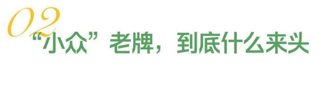 九游娱乐：年轻人捧红日本“足力健”王铁梅也在穿(图6)