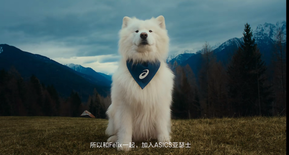 一季度延续增长势头“老人鞋”亚瑟士何以翻红？(图2)