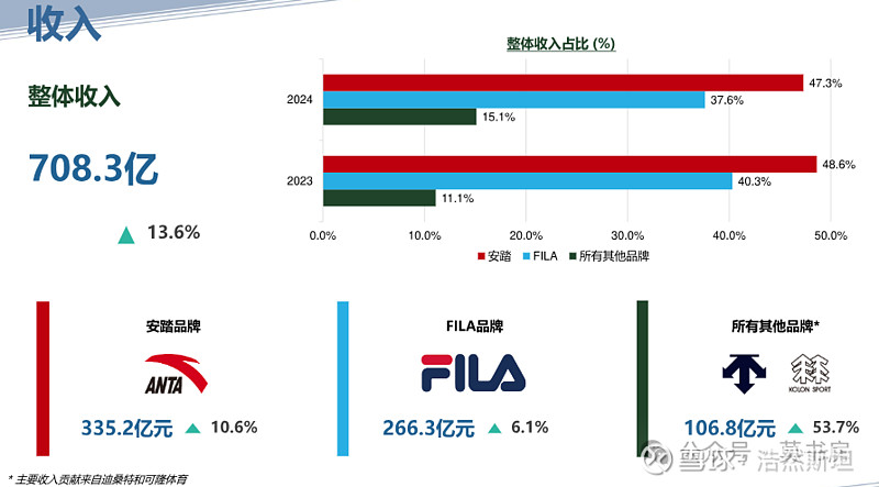 韧性十足——安踏体育2024年财报分析(图2)