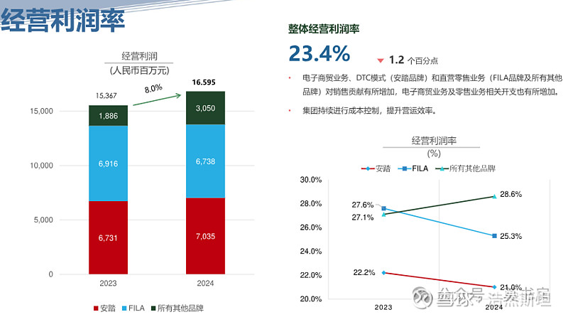 韧性十足——安踏体育2024年财报分析(图5)