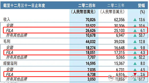 韧性十足——安踏体育2024年财报分析(图15)