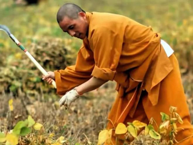 上任第1天印乐法师和美女大量合影被扒与释永信区别太明显！(图4)