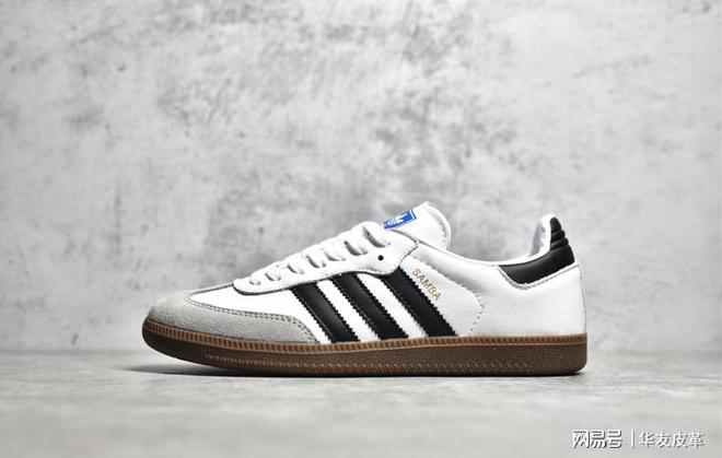 知识分享｜2024流行鞋款推荐(图3)