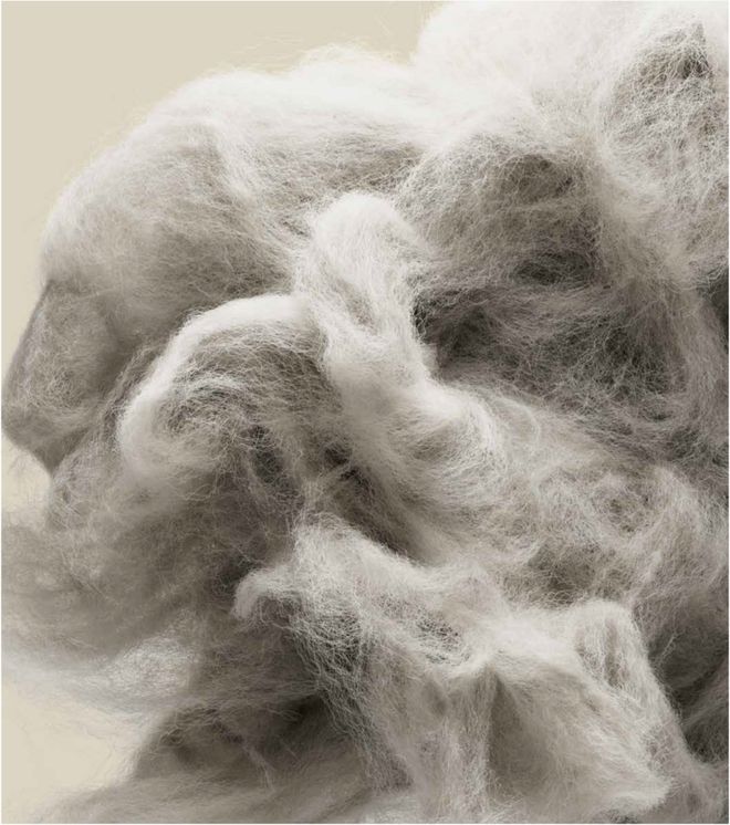 最有价值的投资是脚下的自在(图4)