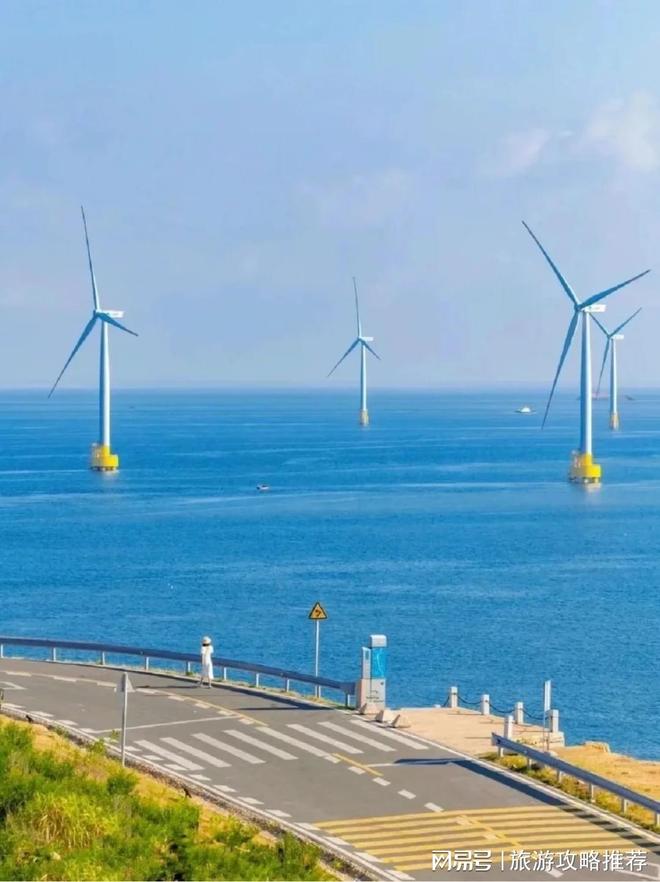 去厦门旅游四天的保姆及攻略厦门植物园游玩4天3晚的最佳景点(图3)