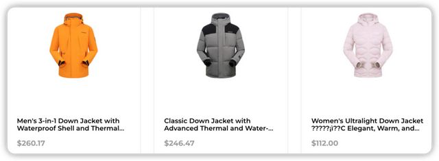 九游娱乐NineGame:骆驼Camel出海将冲锋衣干成大爆款(图7)