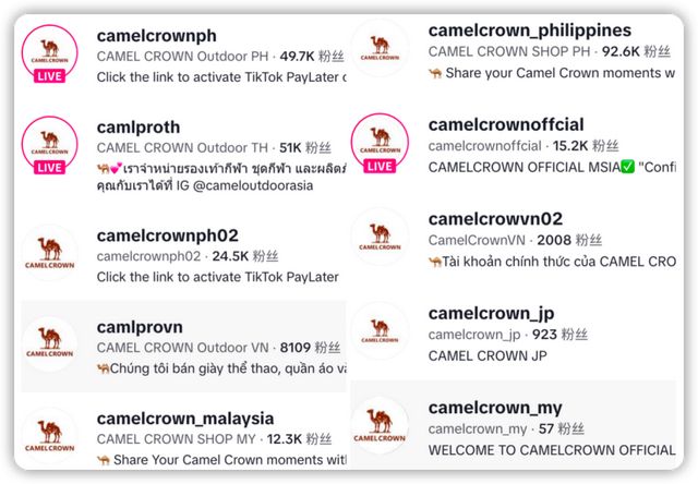 九游娱乐NineGame:骆驼Camel出海将冲锋衣干成大爆款(图11)