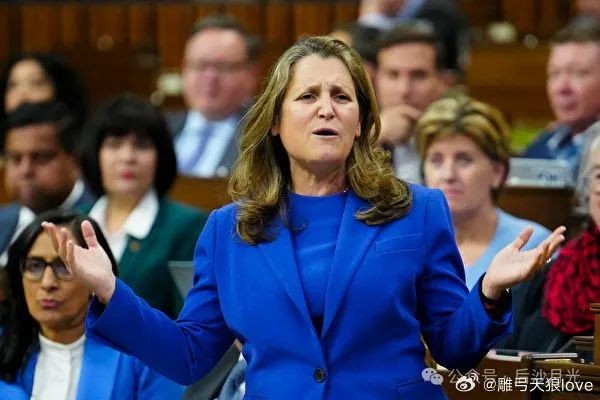 又蠢又坏她后悔让中国加入WTO了！(图1)