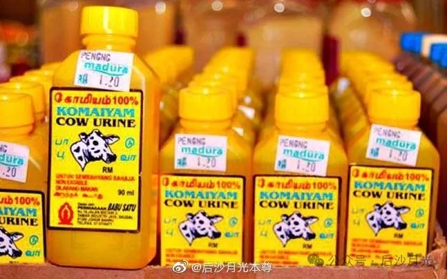 又蠢又坏她后悔让中国加入WTO了！(图3)