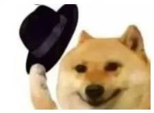 亚瑟士最值得入的几款跑鞋(运动跑鞋品牌合集推荐)(图23)