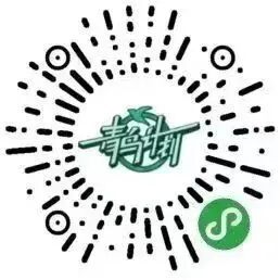 九游娱乐NineGame：青鸟计划筑梦齐河2026年寒假齐河县大学生“返家乡”社会实践活动开始报名啦！(图1)