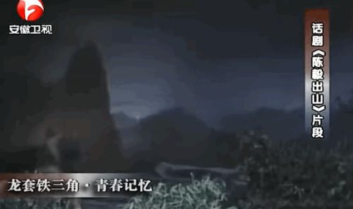 戏骨下跪演艺圈还有救吗？(图8)