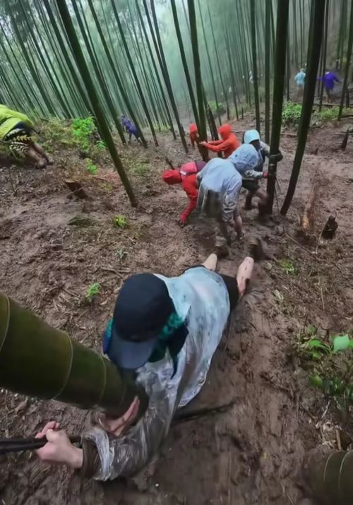 九游娱乐：中年男人的新“庇护所”被耐克们包围了(图2)