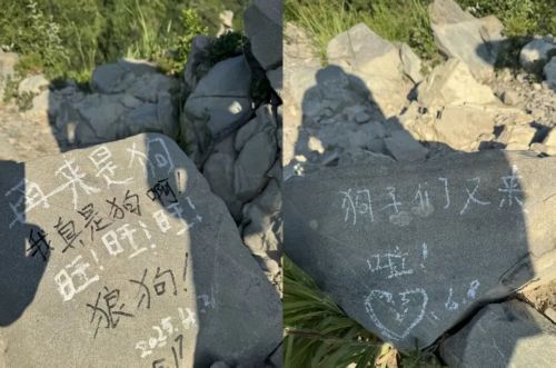 九游娱乐：中年男人的新“庇护所”被耐克们包围了(图7)