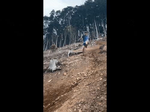 九游娱乐：中年男人的新“庇护所”被耐克们包围了(图9)