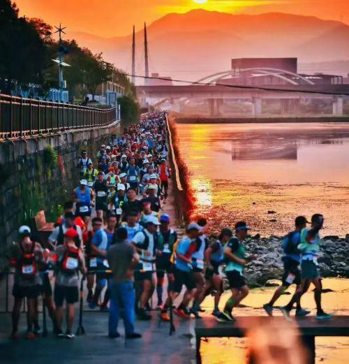 九游娱乐：中年男人的新“庇护所”被耐克们包围了(图25)